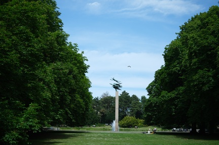 20240621- DSF1936