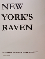 New York’s Raven