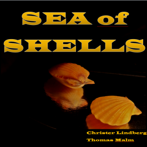 Sea of Shells